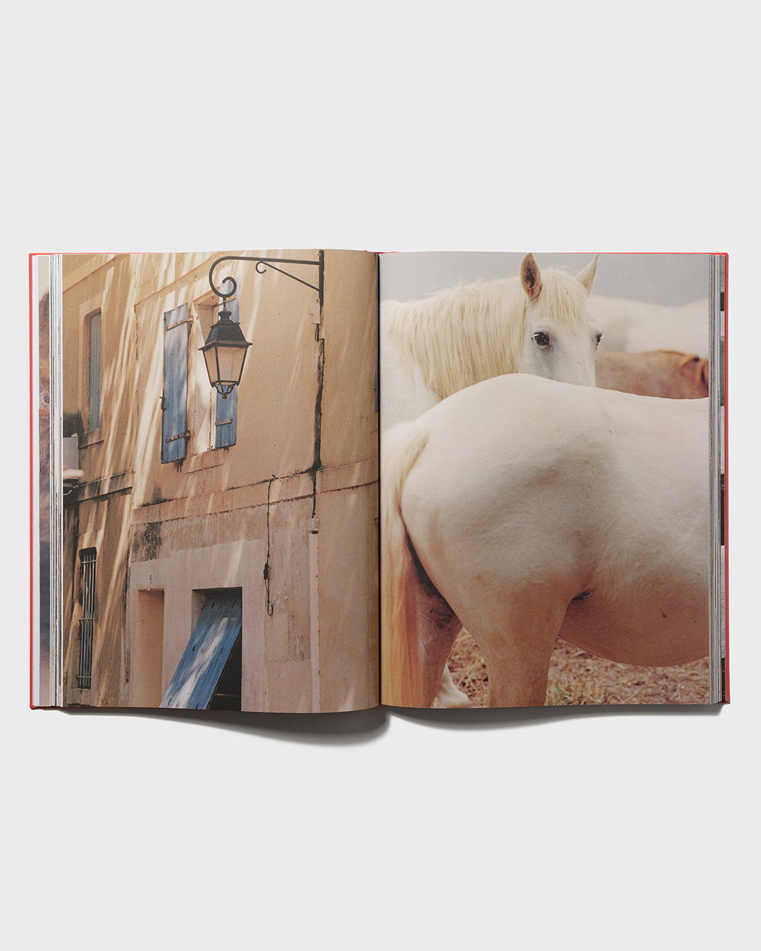 Tirage "Saintes-Maries-de-la-Mer" et livre La Camargue-9