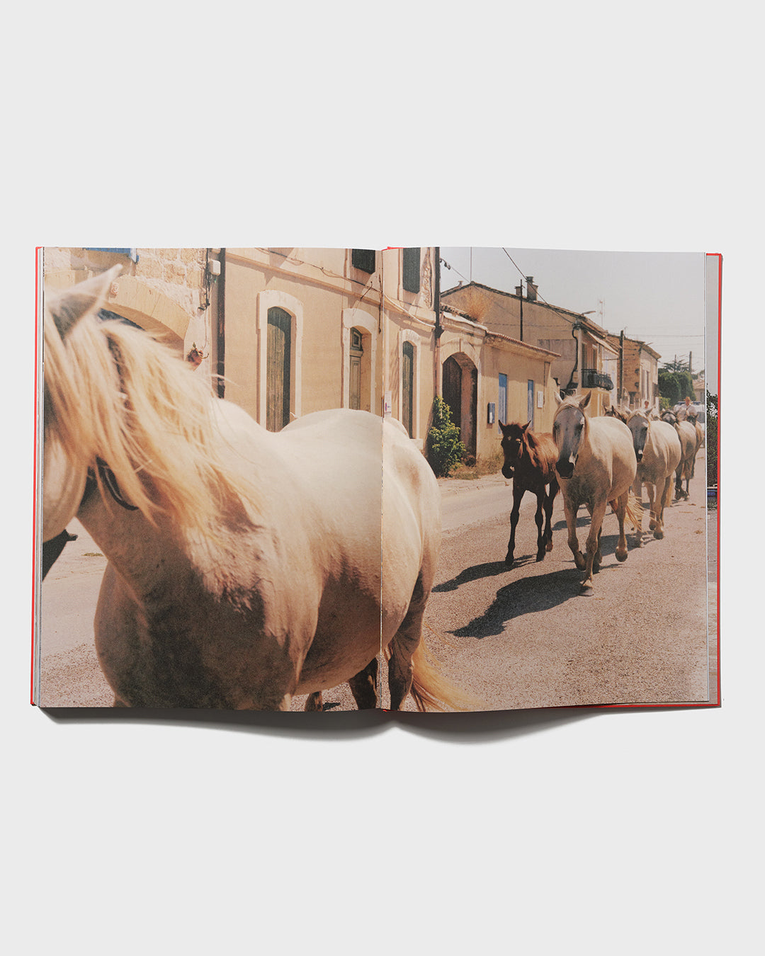 Tirage "Saintes-Maries-de-la-Mer" et livre La Camargue-6