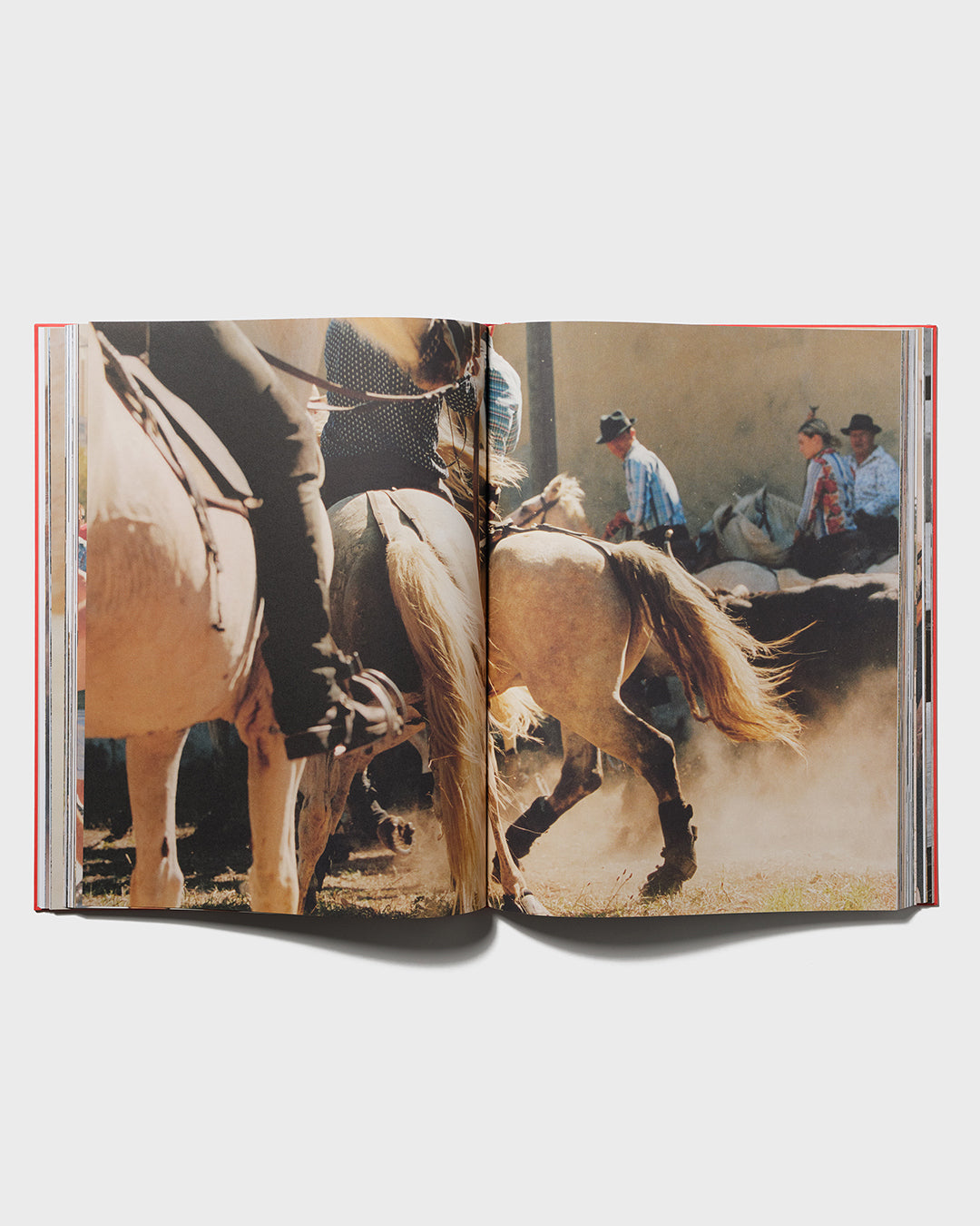 Tirage "Saintes-Maries-de-la-Mer" et livre La Camargue-4