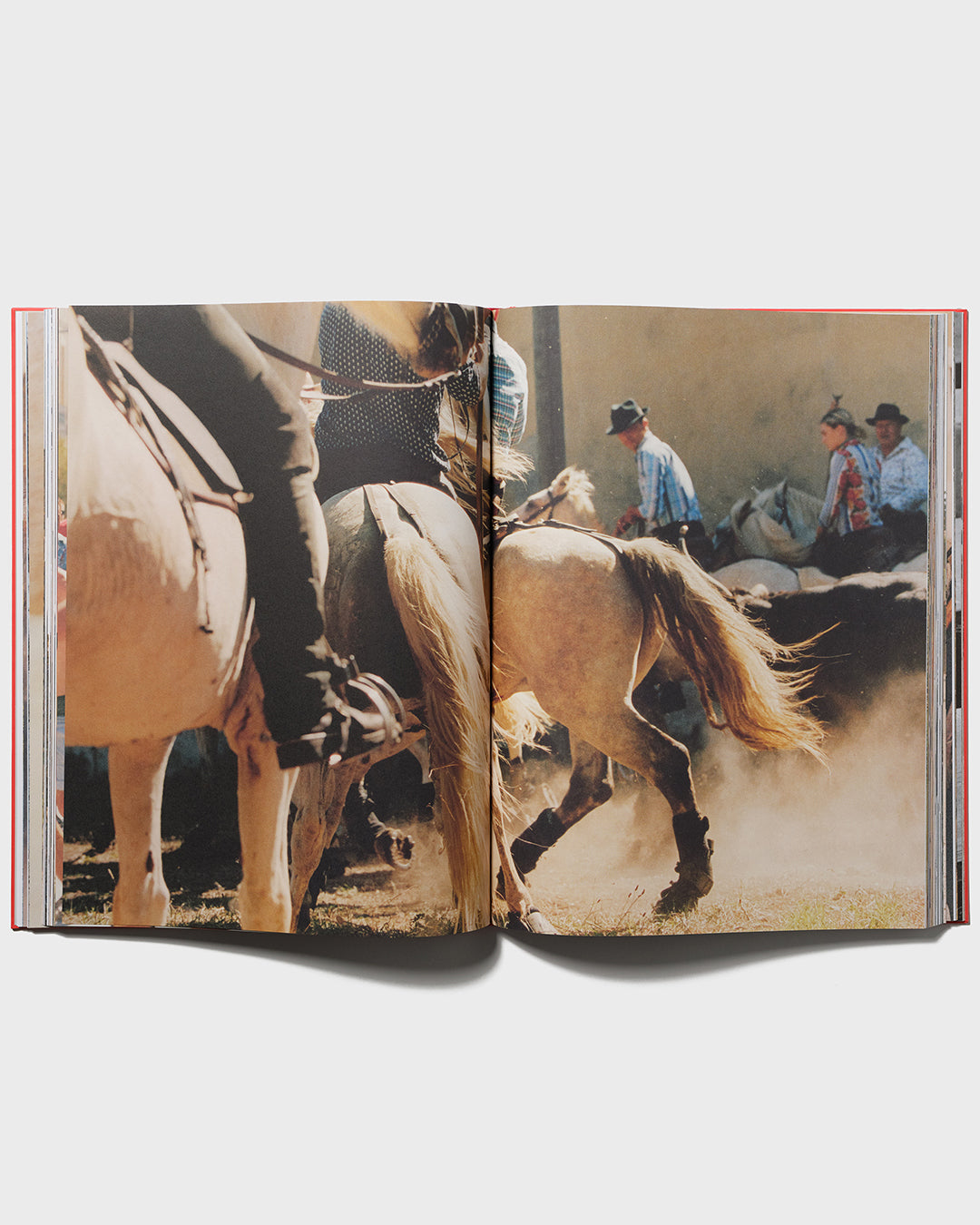 La Camargue, Matthieu Salvaing et Sylvain Prudhomme-9