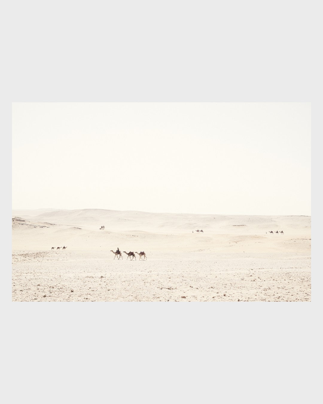 Le Caire, Alistair Taylor Young-2